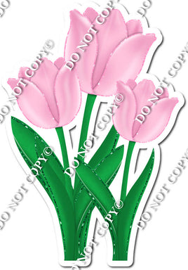 3 Tulips - Baby Pink - w/ Variants