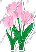 3 Tulips - Baby Pink - w/ Variants