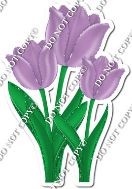 3 Tulips - Lavender - w/ Variants