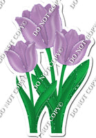 3 Tulips - Lavender - w/ Variants