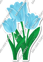 3 Tulips - Baby Blue - w/ Variants