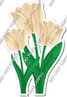 3 Tulips - Champagne - w/ Variants