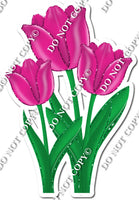 3 Tulips - Hot Pink - w/ Variants