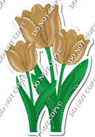 3 Tulips - Gold - w/ Variants