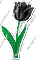 Tulip - Black - w/ Variants