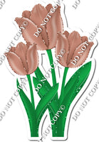 3 Tulips - Rose Gold - w/ Variants