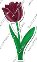 Tulip - Burgundy - w/ Variants