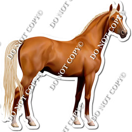 Horse 3 w/ Variants