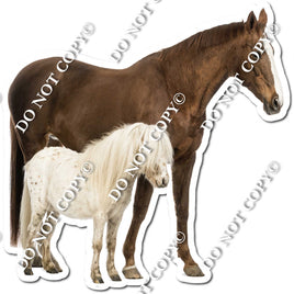 Horse 7 w/ Variants