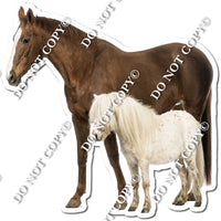 Horse 7 w/ Variants