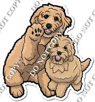 Golden Doodle 7 w/ Variants