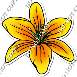 Lily- Yellow w/ Variants