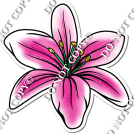 Lily Pink & White w/ Variants