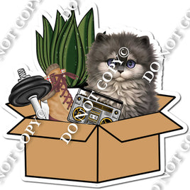 Kitten in Moving Box w/ Variants