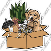 Dog in Moving Box w/ Variants