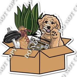 Dog in Moving Box