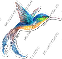 16" Humming Bird - Orange Belly, Blue Head w/ Variants