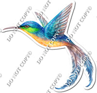 23.5" Humming Bird - Orange Belly, Blue Head w/ Variants