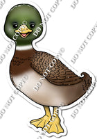 Mallard Duck w/ Variants
