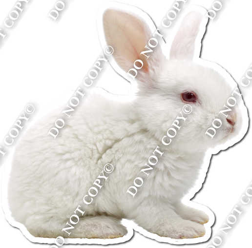 Rabbit 3| Sign Swag USA
