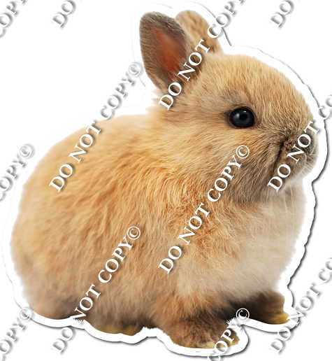 Rabbit 4| Sign Swag USA