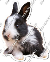 Rabbit 10
