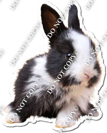 Rabbit 10| Sign Swag USA