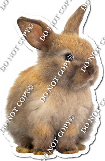 Rabbit 13| Sign Swag USA