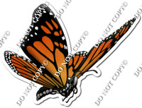 Monarch Butterfly 1 w/ Variants