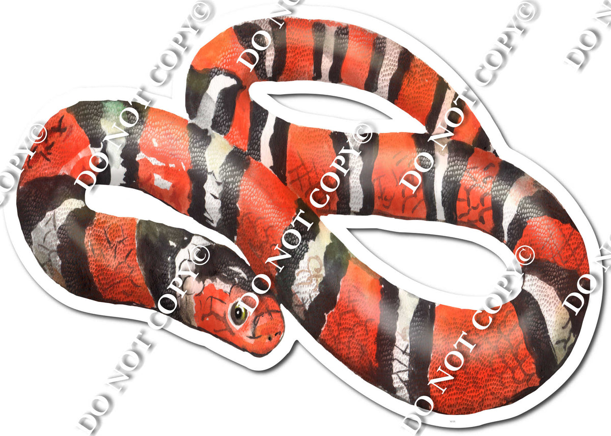 Snake| Sign Swag USA