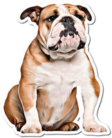 Bulldog w/ Variants