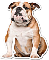 Bulldog w/ Variants