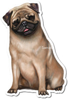 Brown Pug w/ Variants