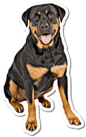 Rottweiler Black & Light Brown w/ Variants