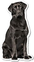 Black Lab w/ Variants