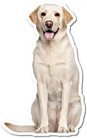 White Lab w/ Variants