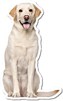 White Lab w/ Variants