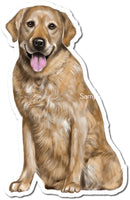 Tan Golden Retriever w/ Variants