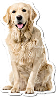 Blonde Golden Retriever w/ Variants