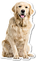 Blonde Golden Retriever w/ Variants