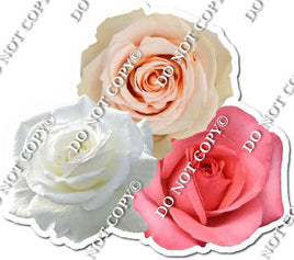 Watercolor Rose - Group of White, Blush, Baby Pink w/ Variants