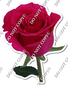 Watercolor Rose - Hot Pink with Stem w/ Variants