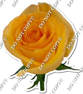 Watercolor Rose - Yellow / Orange with Stem w/ Variants