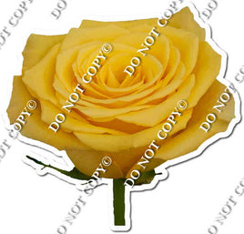 Watercolor Rose - Yellow w/ Variants