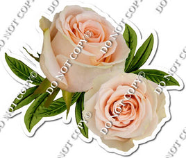Watercolor Rose - Two Blush with Stems w/ Variants