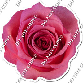 Watercolor Rose - Hot Pink w/ Variants