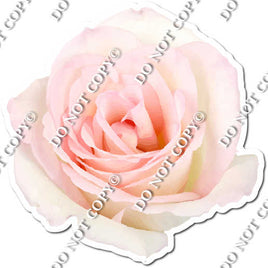 Watercolor Rose - White / Pink w/ Variants