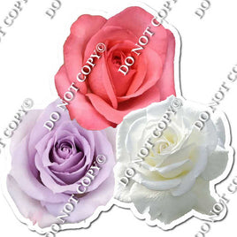 Watercolor Rose - Lavender, Pink, White w/ Variants