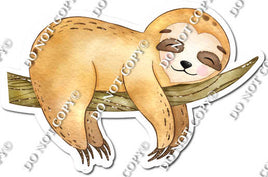 Sloth Laying on Branch