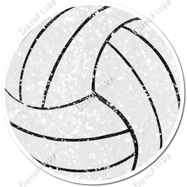 Volley Ball - White Sparkle / Black Sparkle Lines